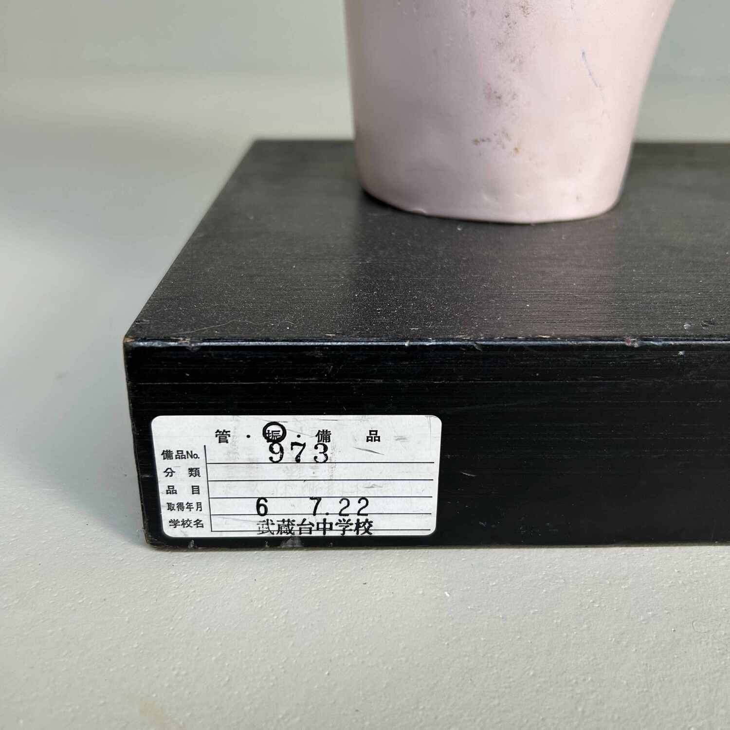 Japans Anatomisch Model 'Nakamura', jaren '60-'70.