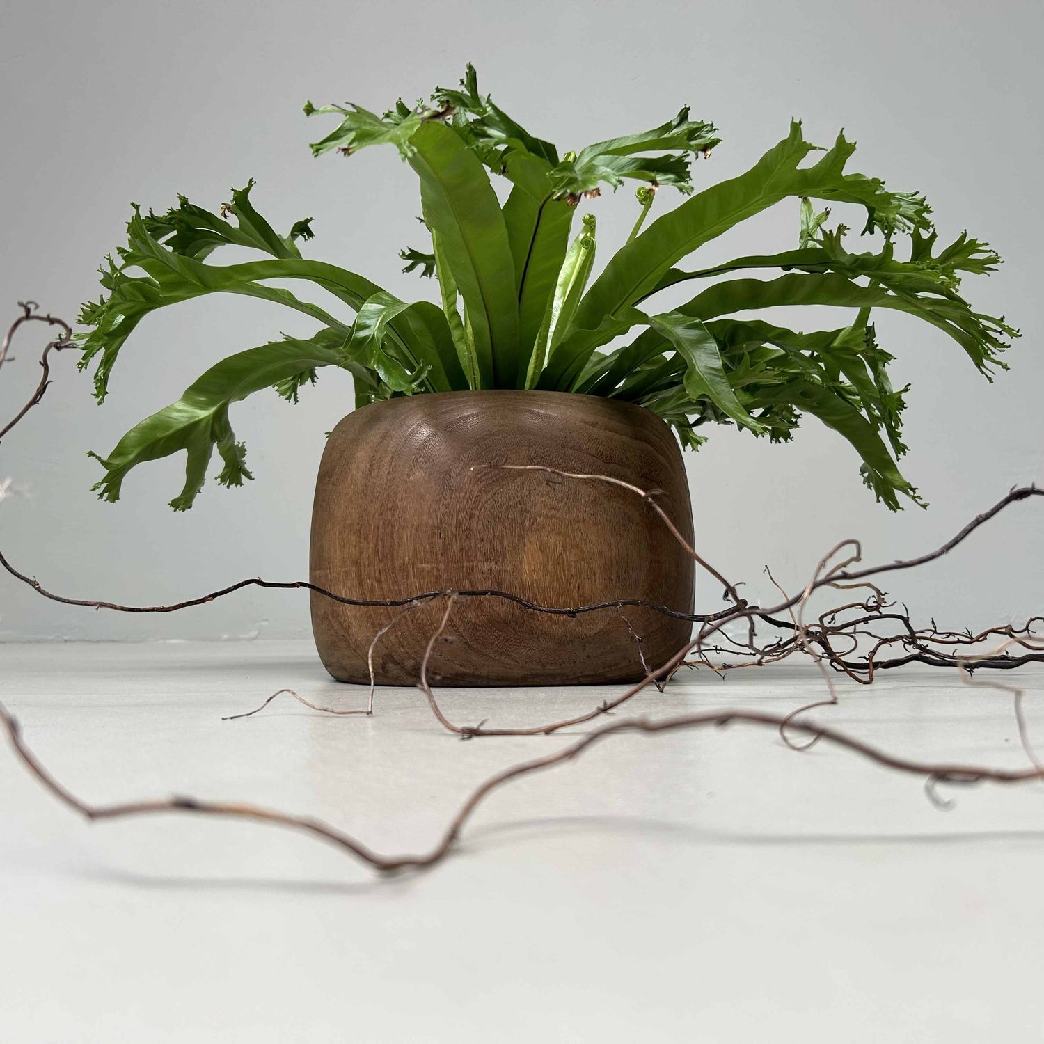 Traditionele Hibachi 火鉢, Japanse Vuurpot, Taishō-periode, Japan.