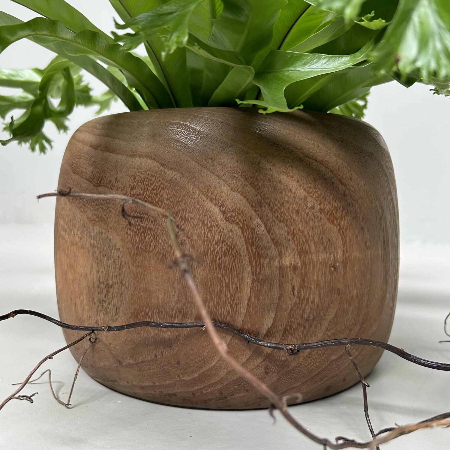 Traditionele Hibachi 火鉢, Japanse Vuurpot, Taishō-periode, Japan.