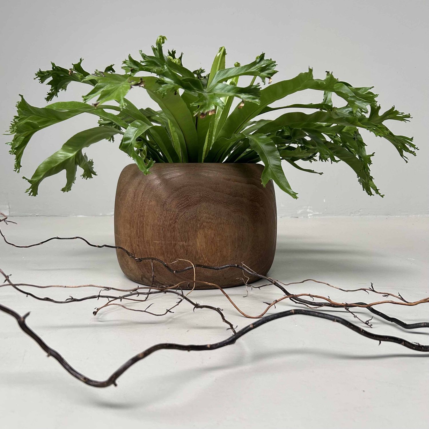 Traditionele Hibachi 火鉢, Japanse Vuurpot, Taishō-periode, Japan.