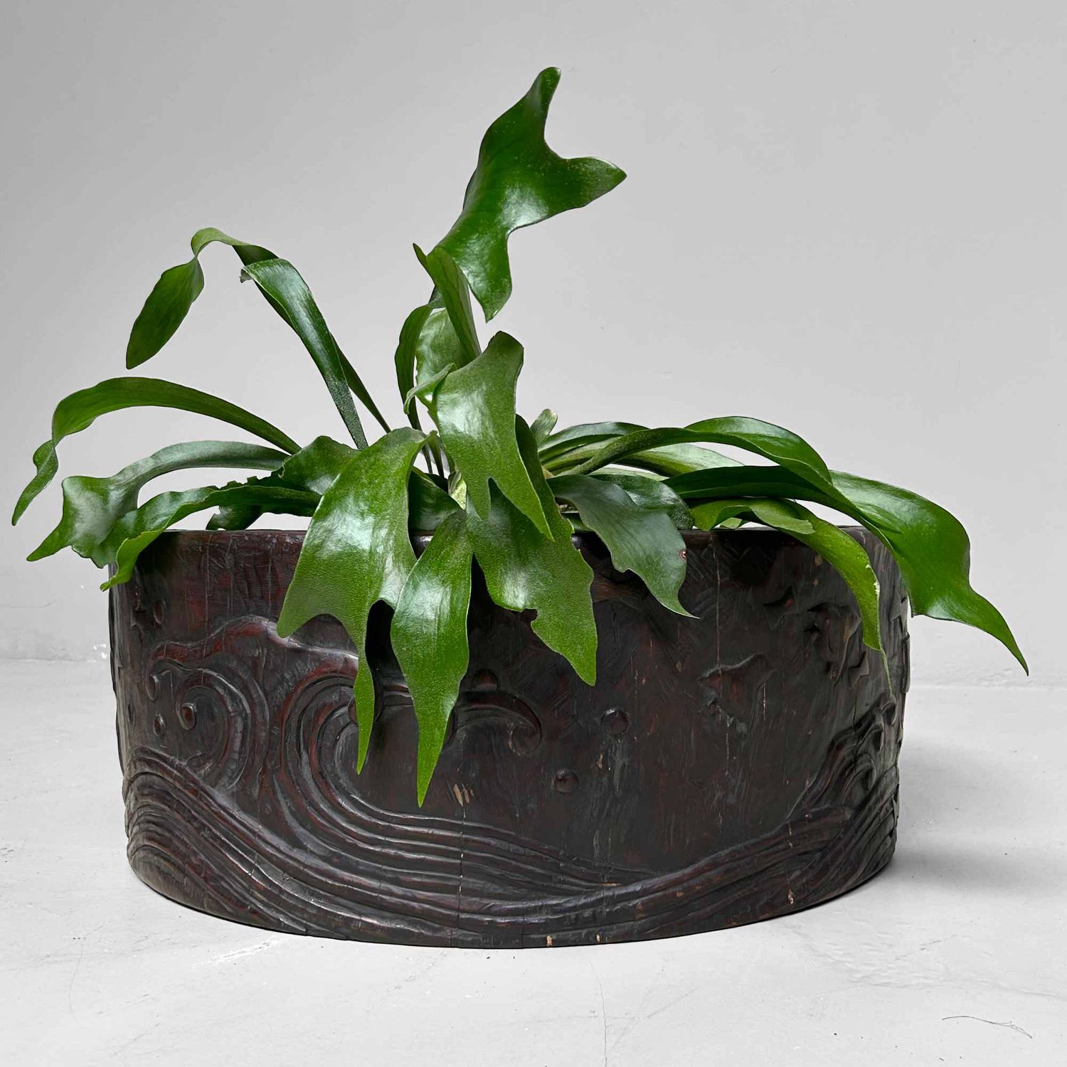 Large Wood Carved Antique Hibachi, Meiji Period, Japan.