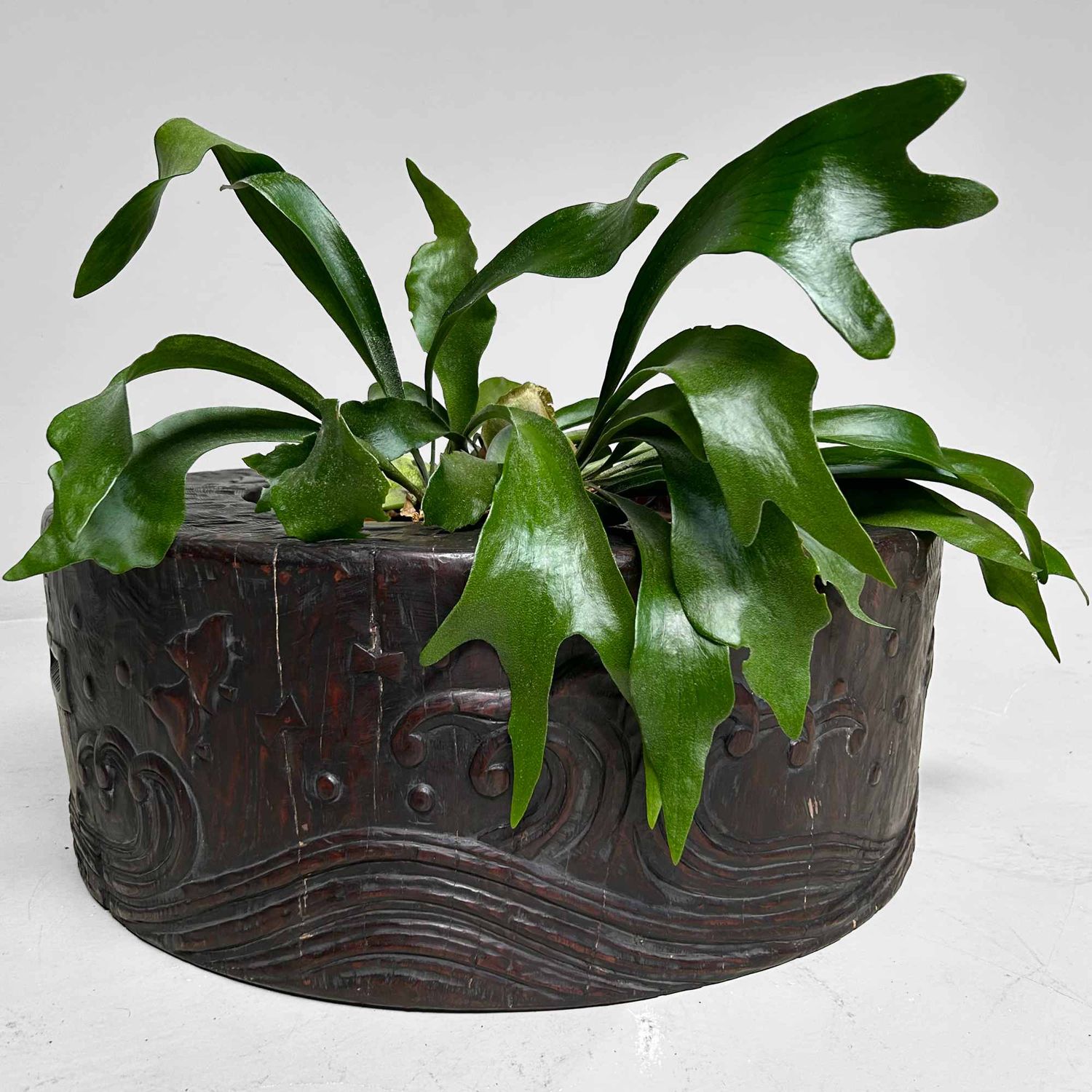 Large Wood Carved Antique Hibachi, Meiji Period, Japan.