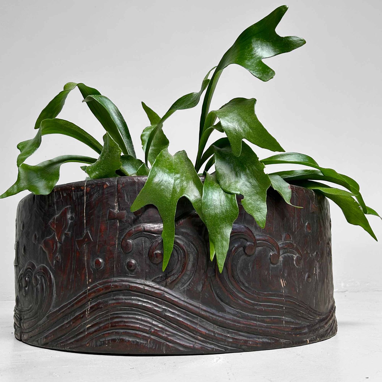 Large Wood Carved Antique Hibachi, Meiji Period, Japan.