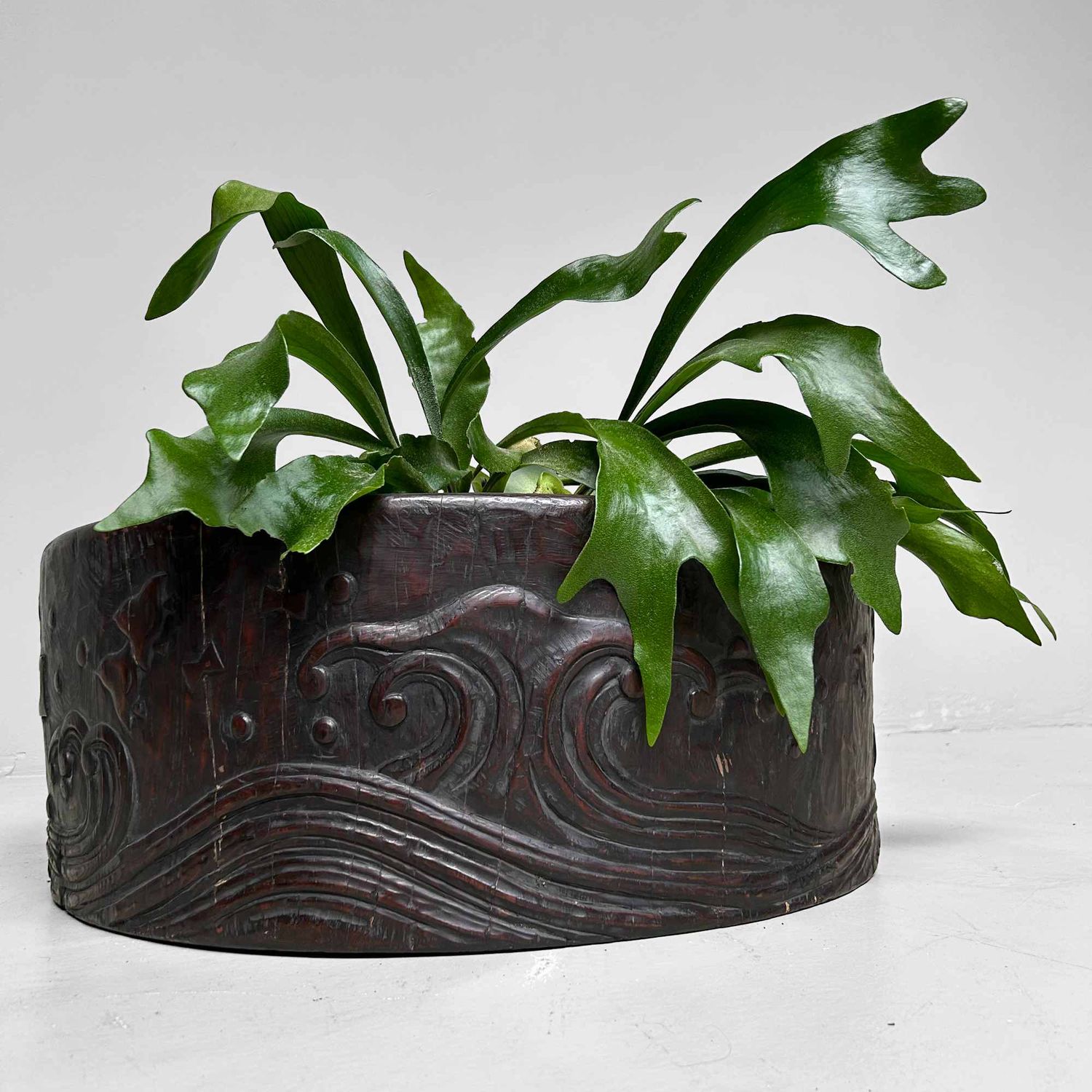 Large Wood Carved Antique Hibachi, Meiji Period, Japan.