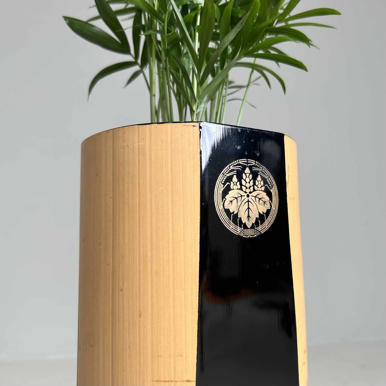 Lakwerk Bamboe Ikebana Vaas, Shōwa, Japan.