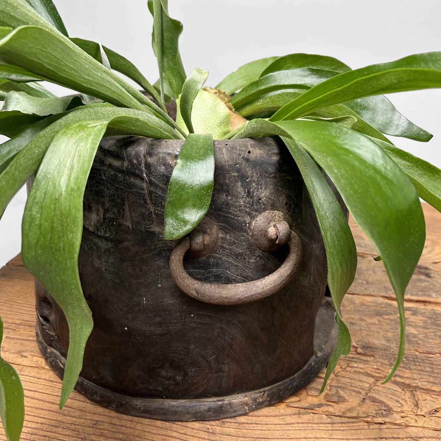 Antieke Hibachi 火鉢 / Japanse Vuurpot, Edo-periode.