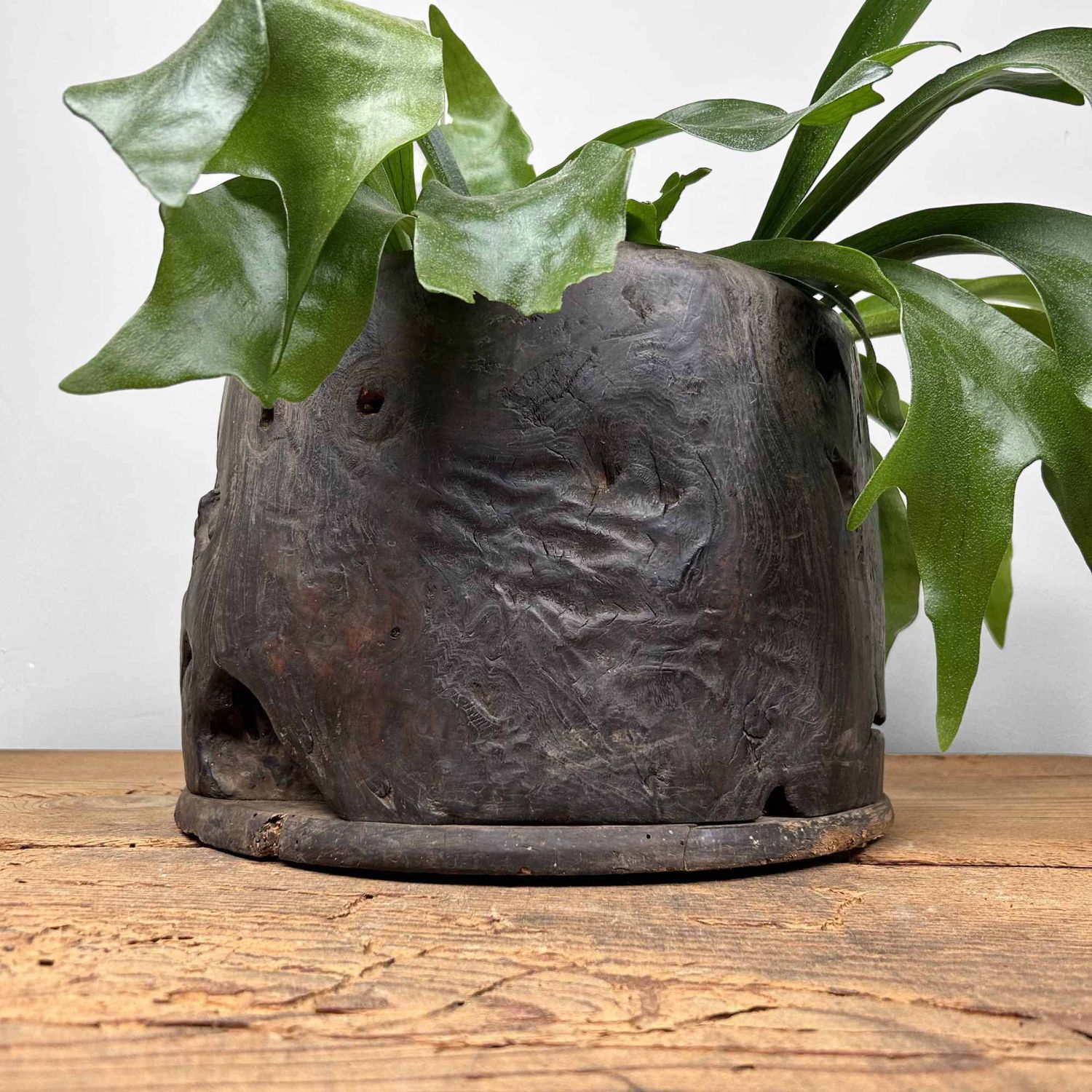 Antieke Hibachi 火鉢 / Japanse Vuurpot, Edo-periode.