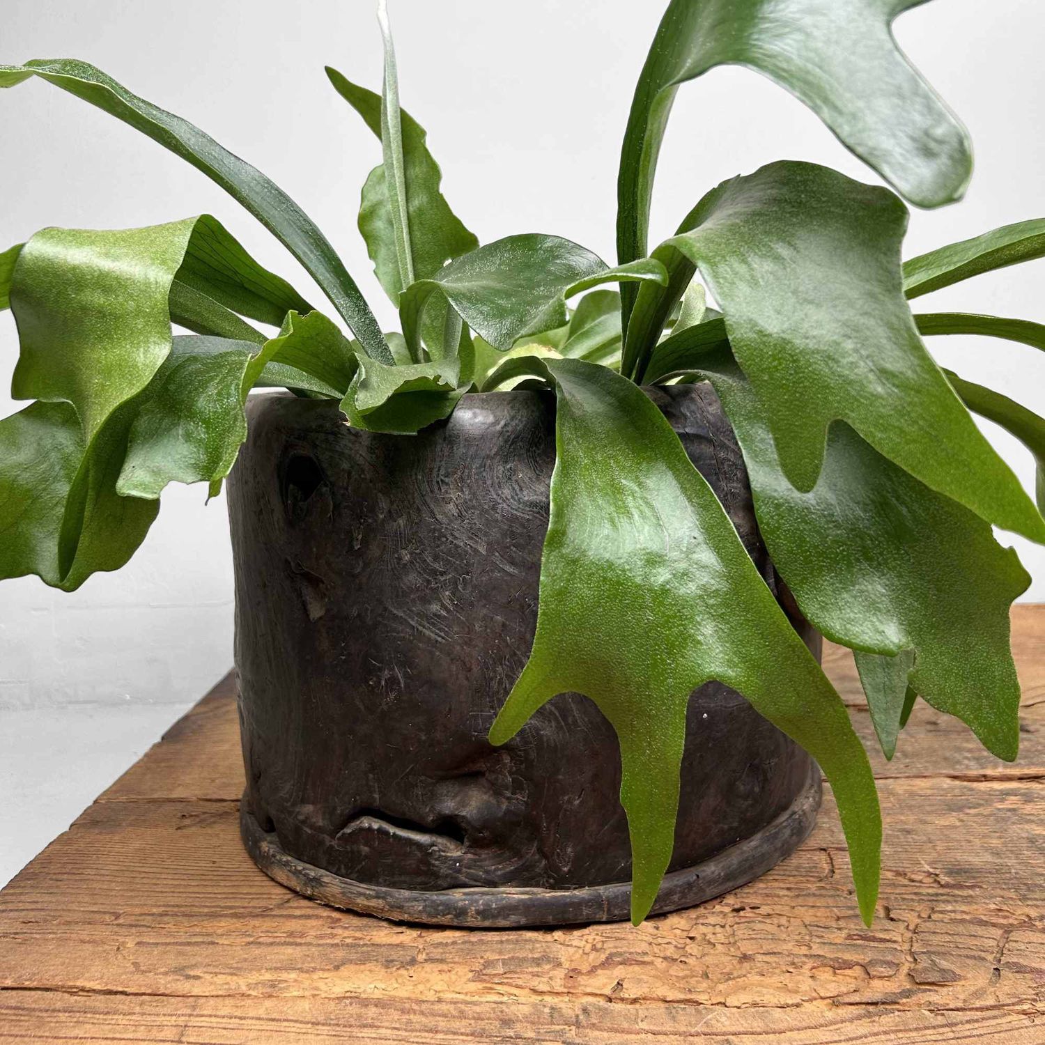 Antieke Hibachi 火鉢 / Japanse Vuurpot, Edo-periode.