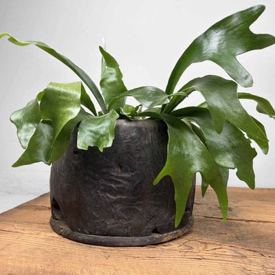 Antieke Hibachi 火鉢 / Japanse Vuurpot, Edo-periode.
