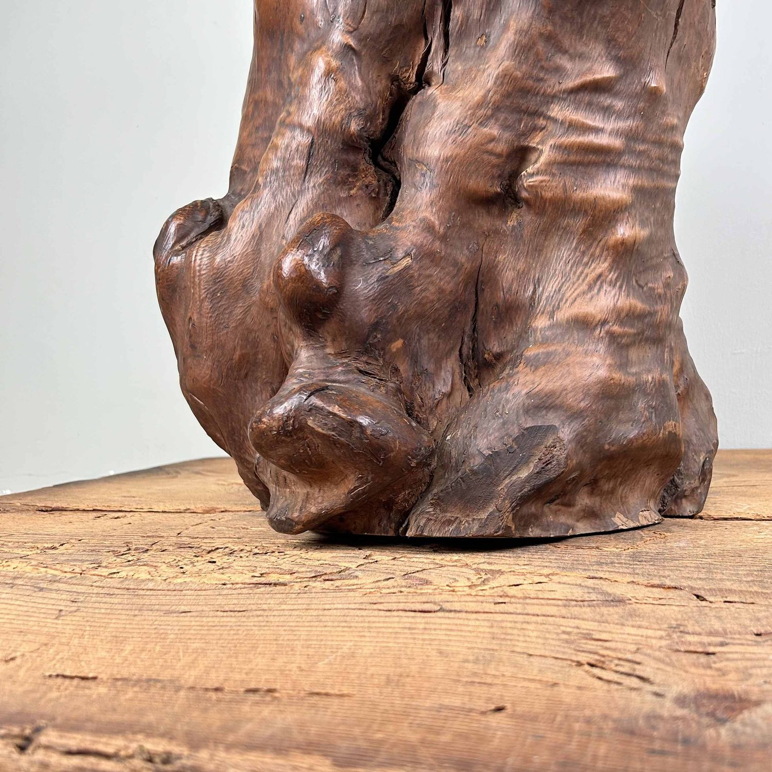 Japanse Burl Wood Decoratie Tsuge (椿), Taishō-periode.