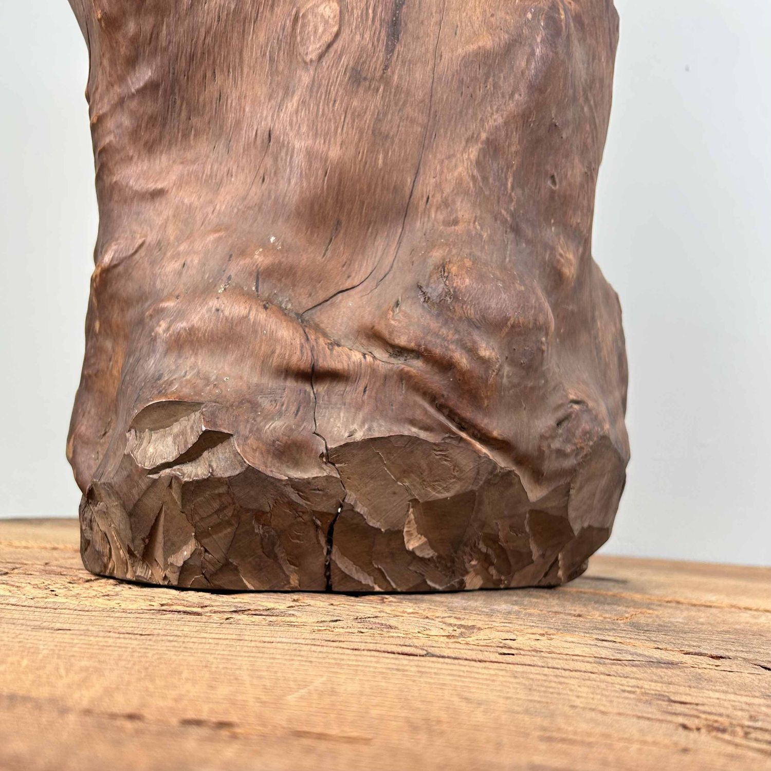 Japanse Burl Wood Decoratie Tsuge (椿), Taishō-periode.