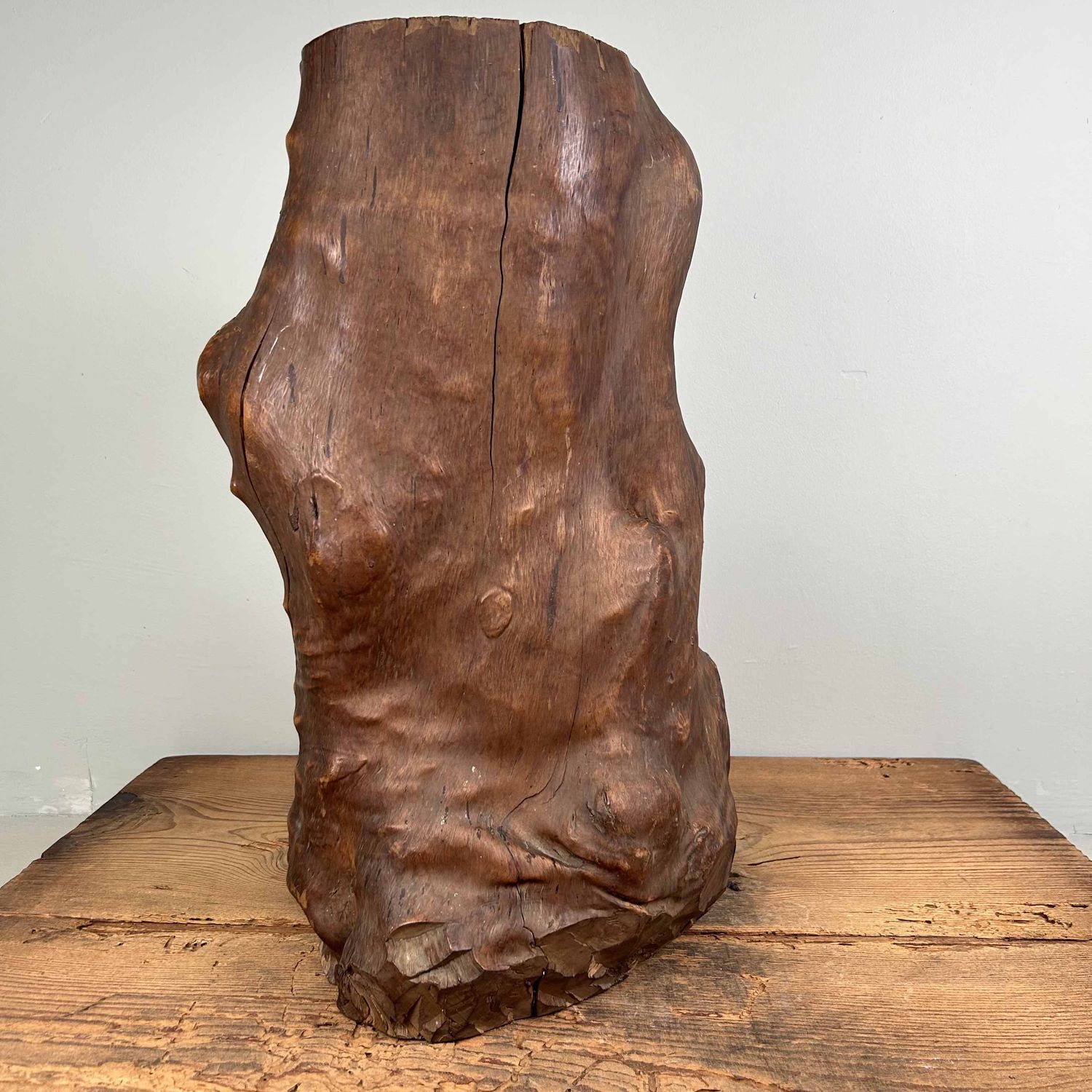 Japanse Burl Wood Decoratie Tsuge (椿), Taishō-periode.