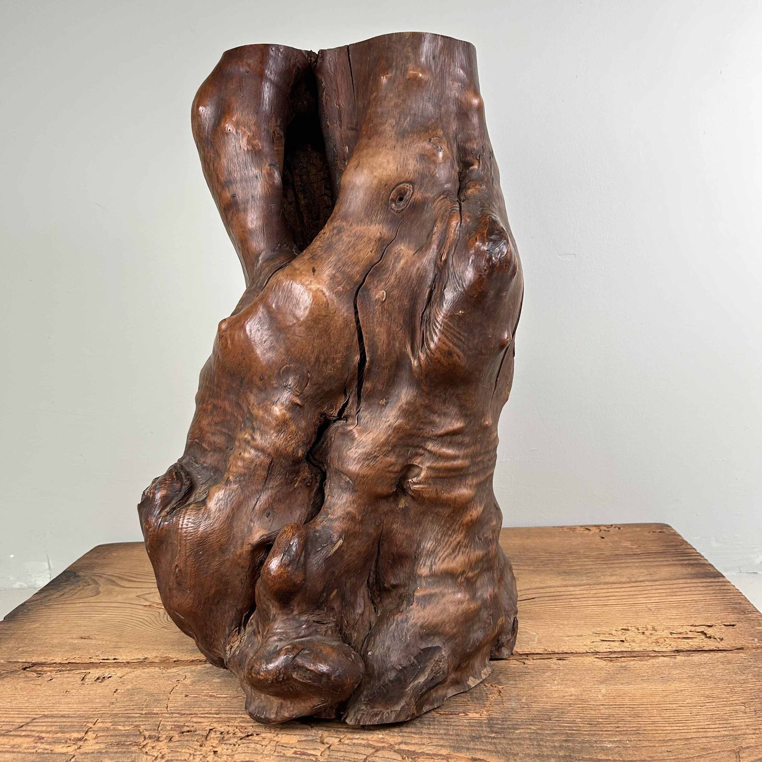 Japanse Burl Wood Decoratie Tsuge (椿), Taishō-periode.