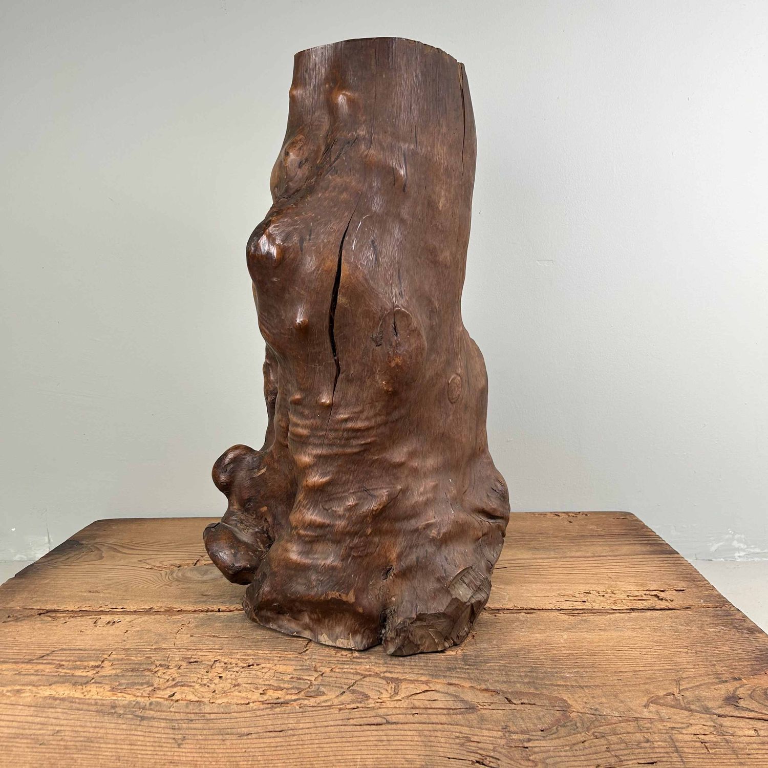 Japanse Burl Wood Decoratie Tsuge (椿), Taishō-periode.