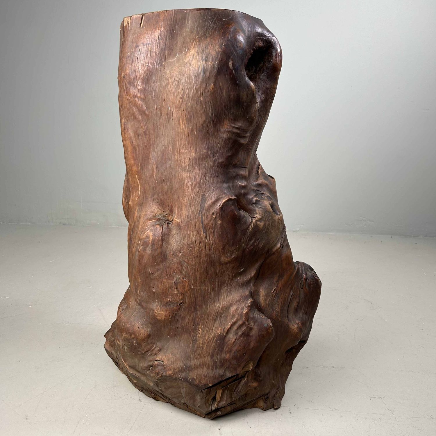 Japanse Burl Wood Decoratie Tsuge (椿), Taishō-periode.