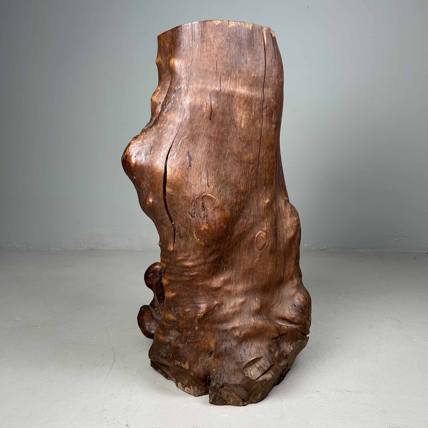 Japanse Burl Wood Decoratie Tsuge (椿), Taishō-periode.