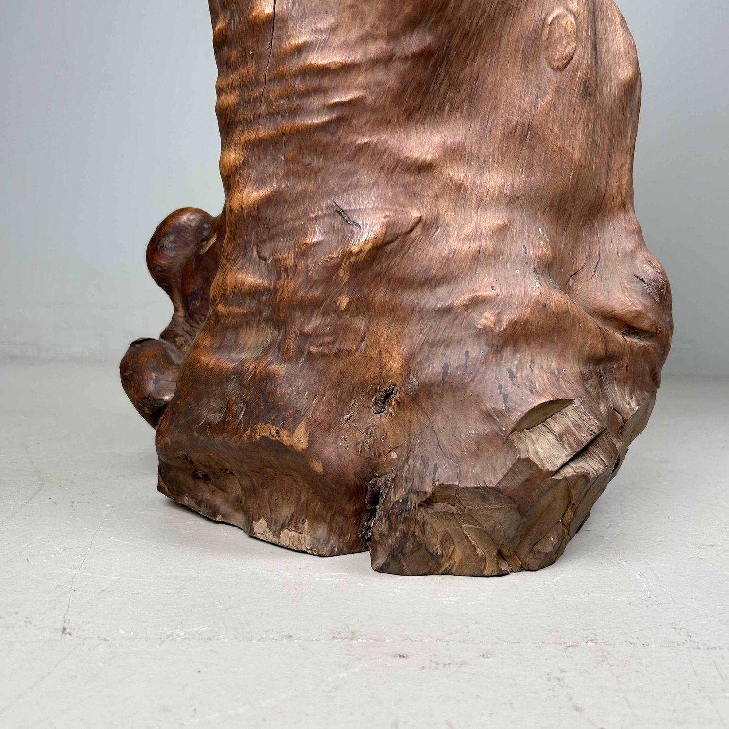 Japanse Burl Wood Decoratie Tsuge (椿), Taishō-periode.