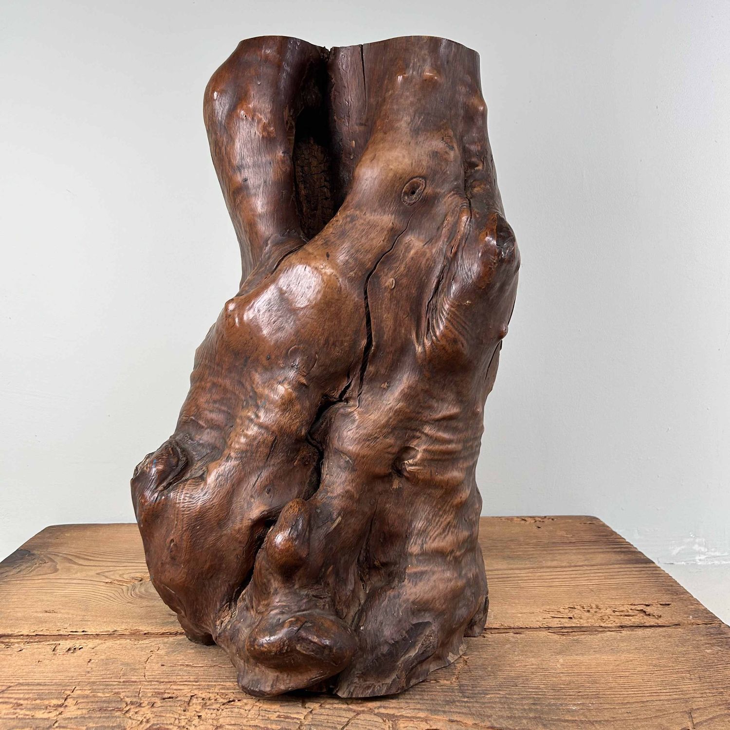 Japanse Burl Wood Decoratie Tsuge (椿), Taishō-periode.