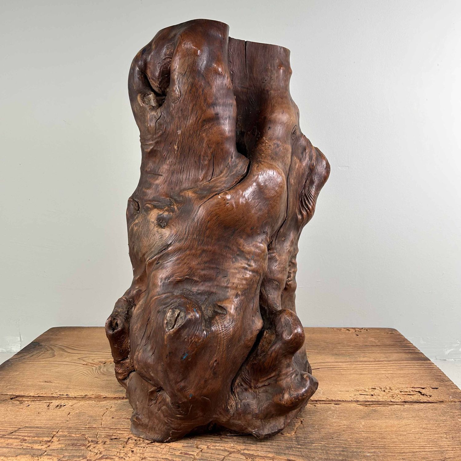 Japanse Burl Wood Decoratie Tsuge (椿), Taishō-periode.