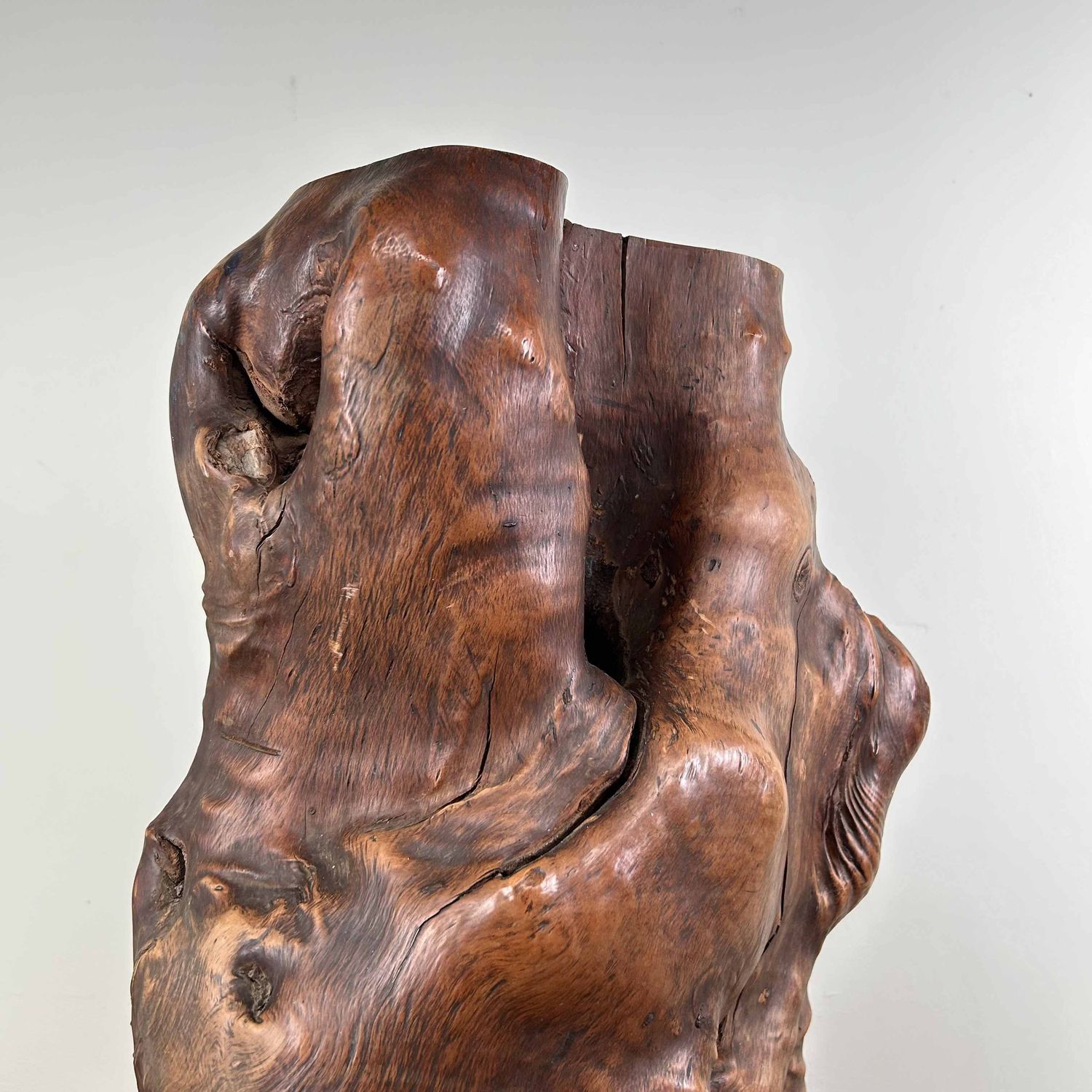 Japanse Burl Wood Decoratie Tsuge (椿), Taishō-periode.