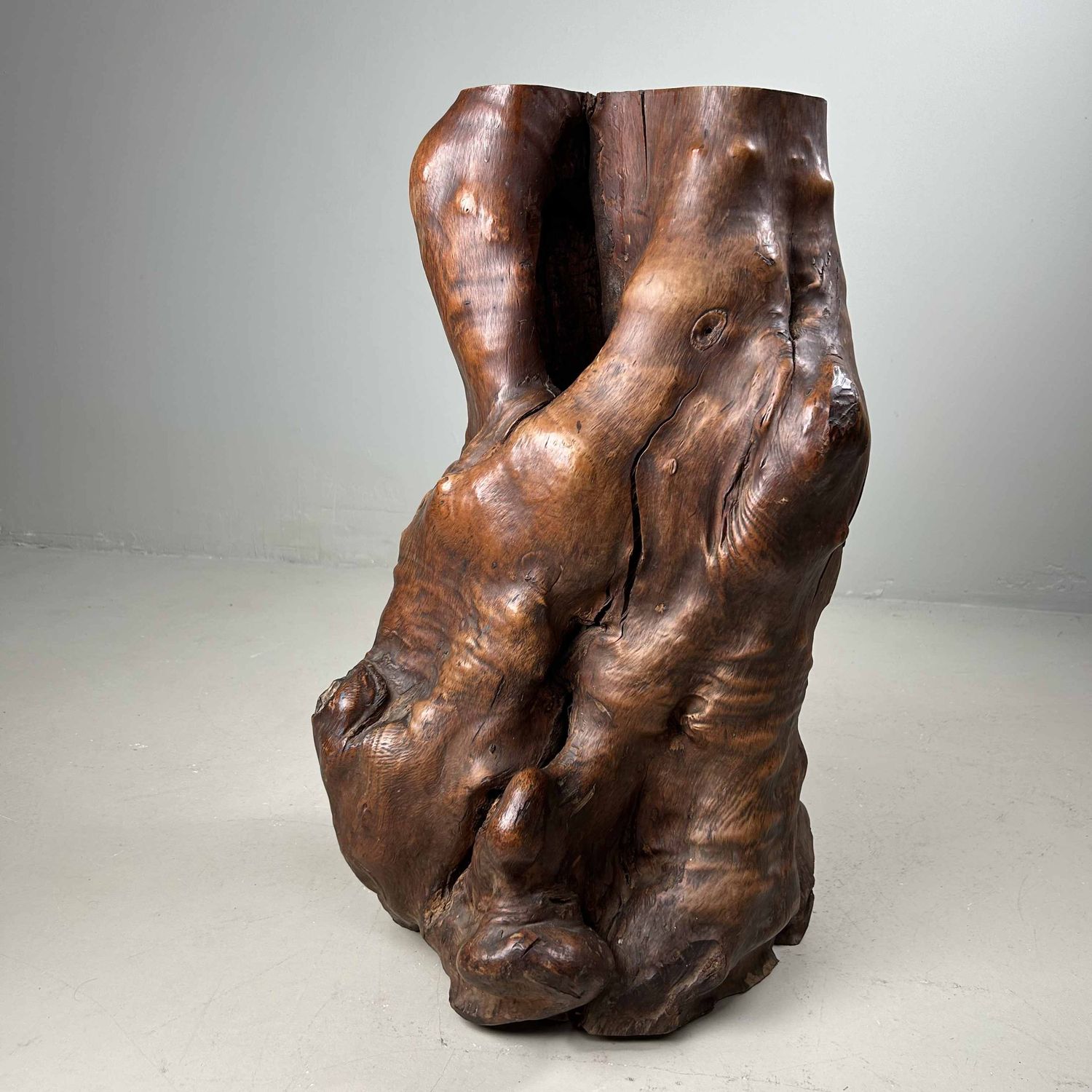 Japanse Burl Wood Decoratie Tsuge (椿), Taishō-periode.