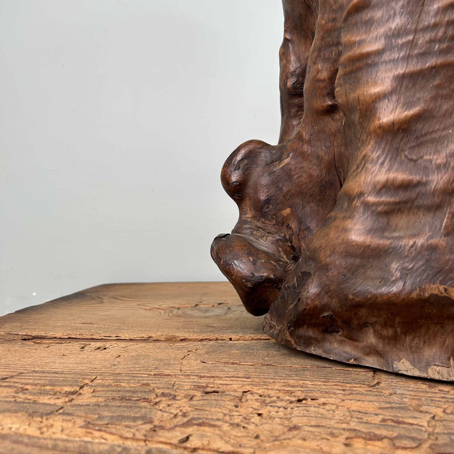 Japanse Burl Wood Decoratie Tsuge (椿), Taishō-periode.