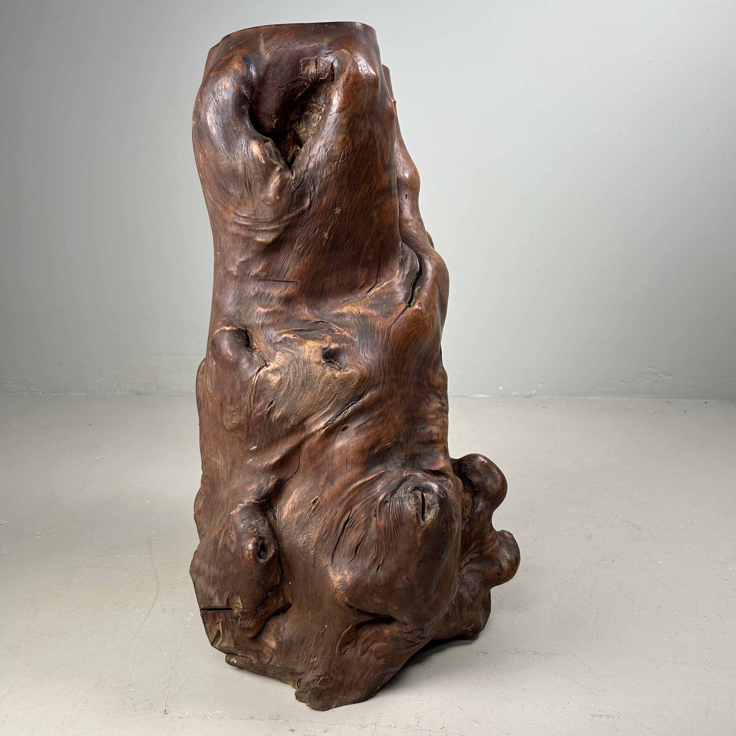 Japanse Burl Wood Decoratie Tsuge (椿), Taishō-periode.