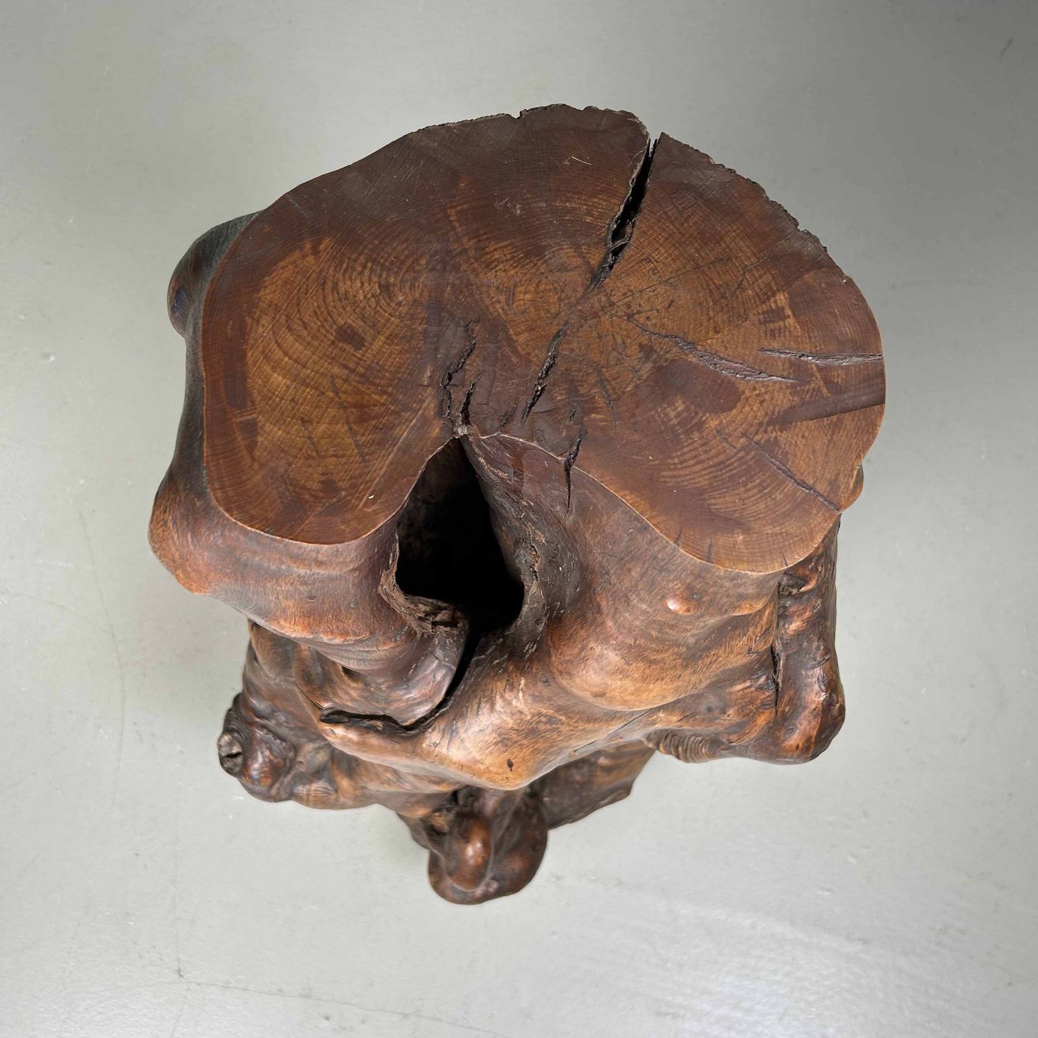 Japanse Burl Wood Decoratie Tsuge (椿), Taishō-periode.