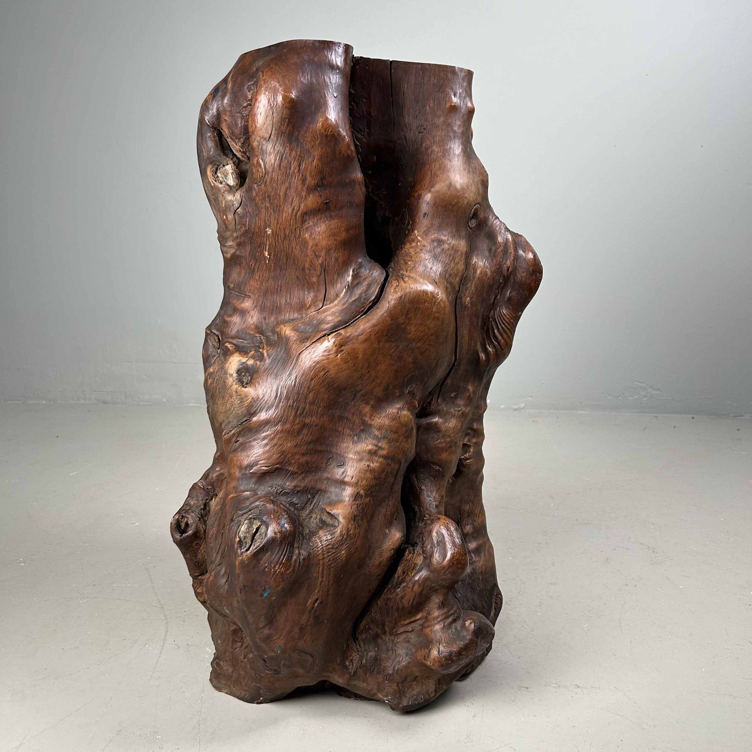 Japanse Burl Wood Decoratie Tsuge (椿), Taishō-periode.