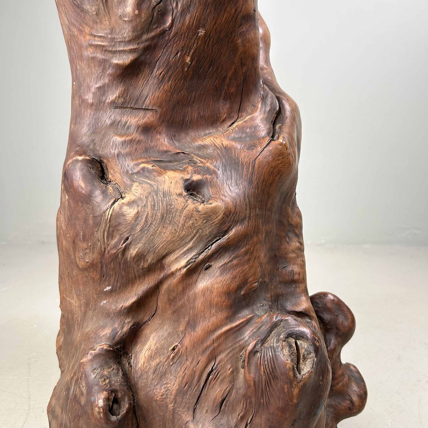 Japanse Burl Wood Decoratie Tsuge (椿), Taishō-periode.