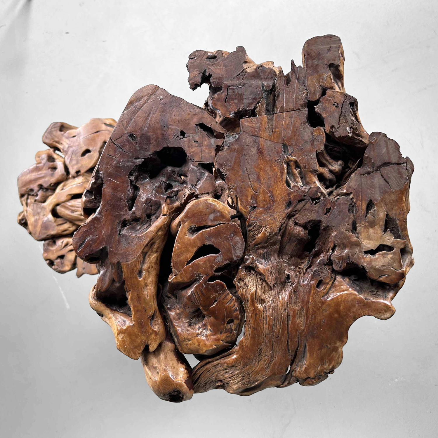 Large Japanese Burl Root Wood Plant Stand, Taisho Era.