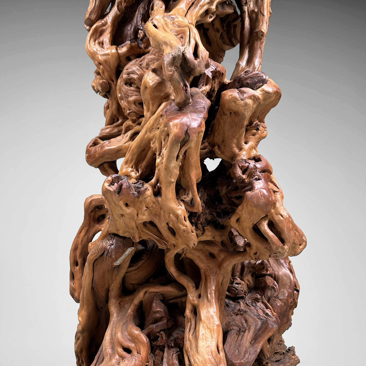 Large Japanese Burl Root Wood Plant Stand, Taisho Era.