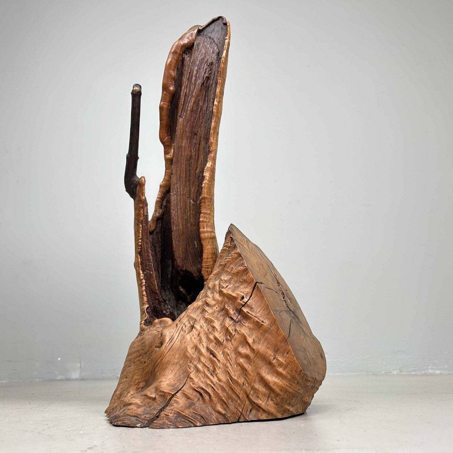 Japanese Burl Wood Ikebana Decoration Tsuge (椿), Taishō Period.