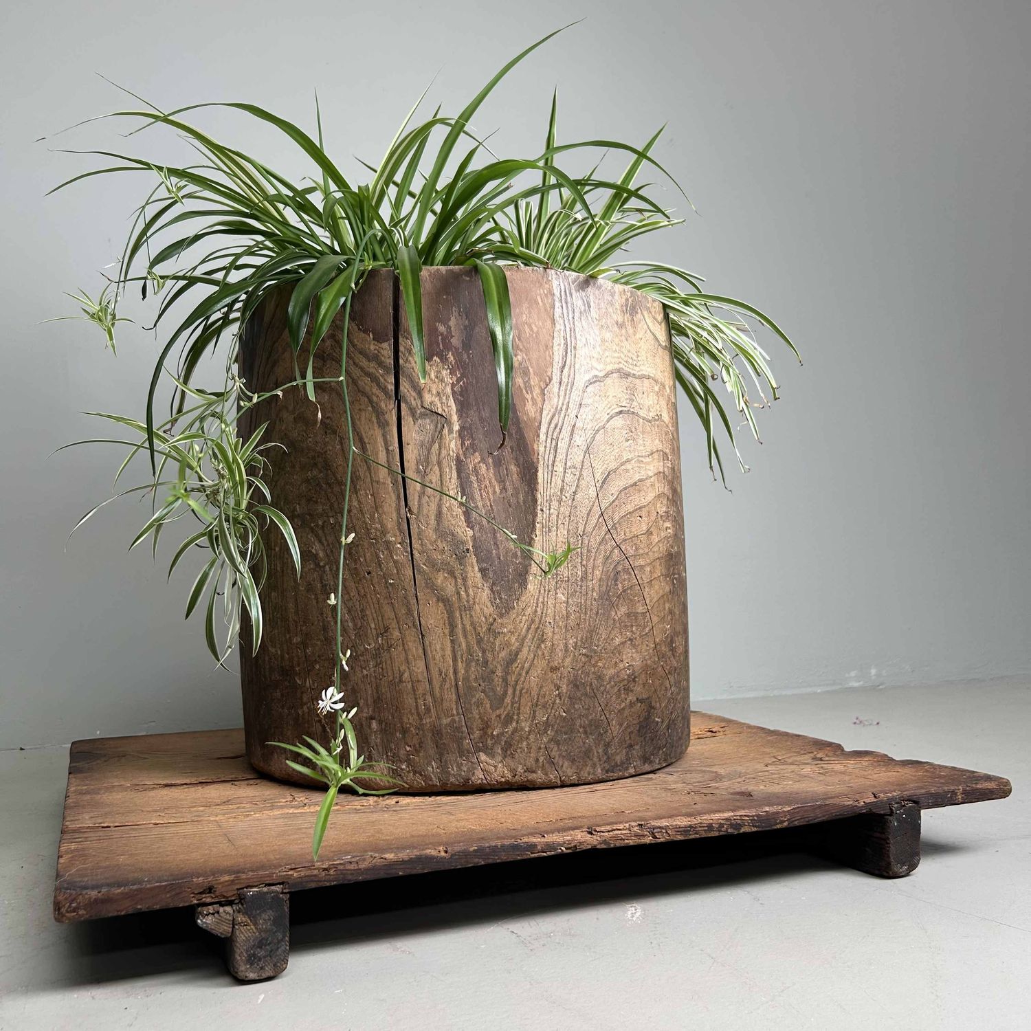 Japanese Mochi-Tsuki Usu, Antique Rice Mortar, late Meiji period.