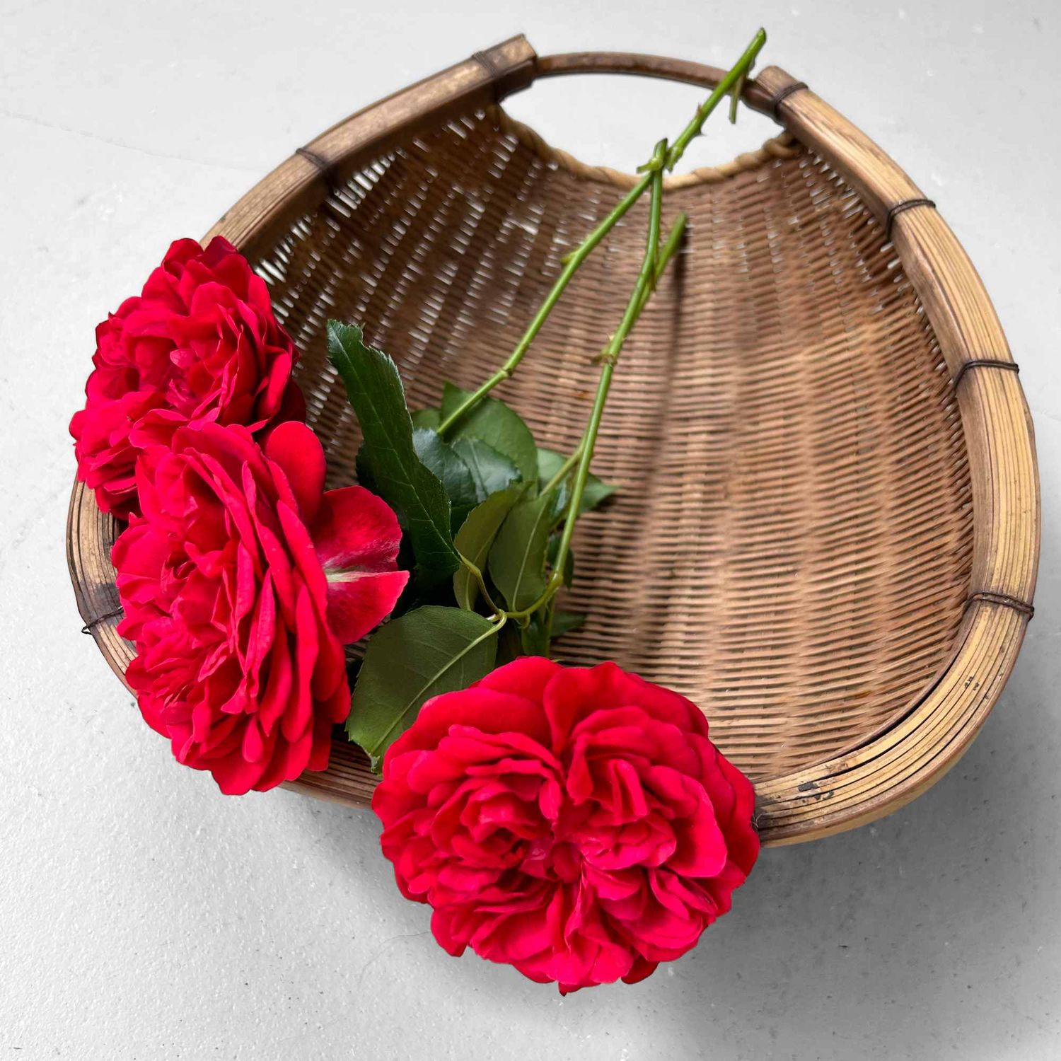 Japanse Kago Zaru Droogmand, Bamboe, Shōwa periode.