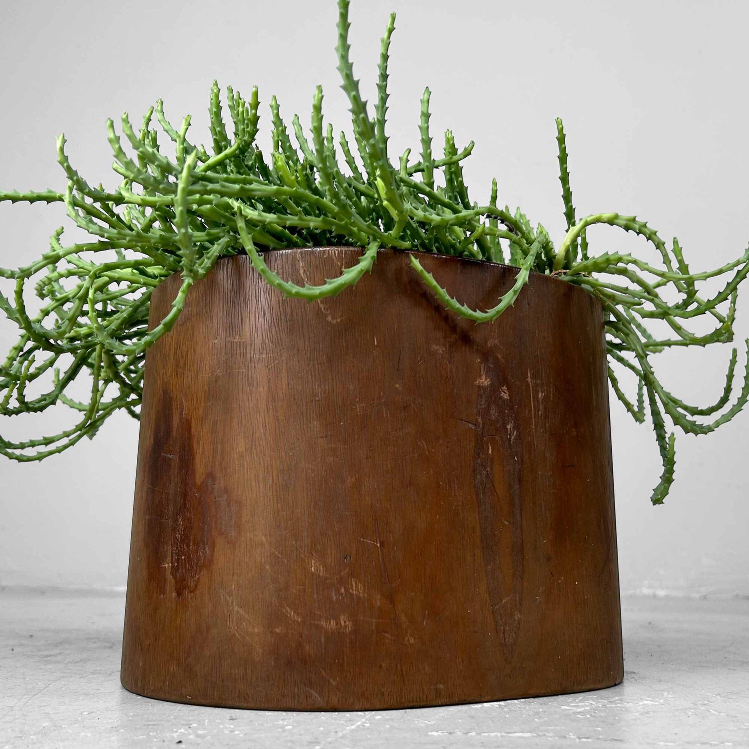 Unieke Houten 'Boomstam' Hibachi 火鉢  Japan, Meiji periode.
