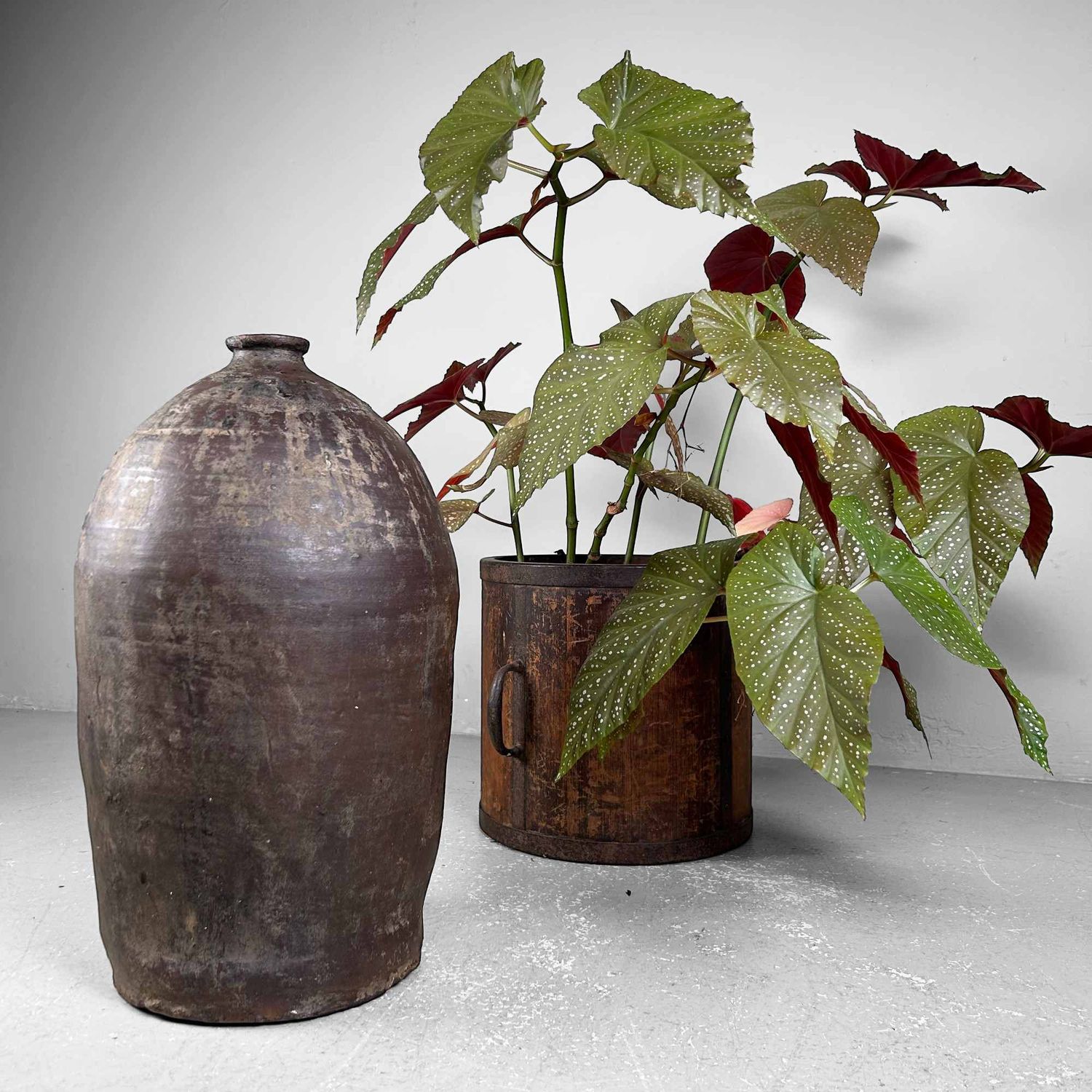 Organic Earthenware Jug, Czech Republic, 19th Century.