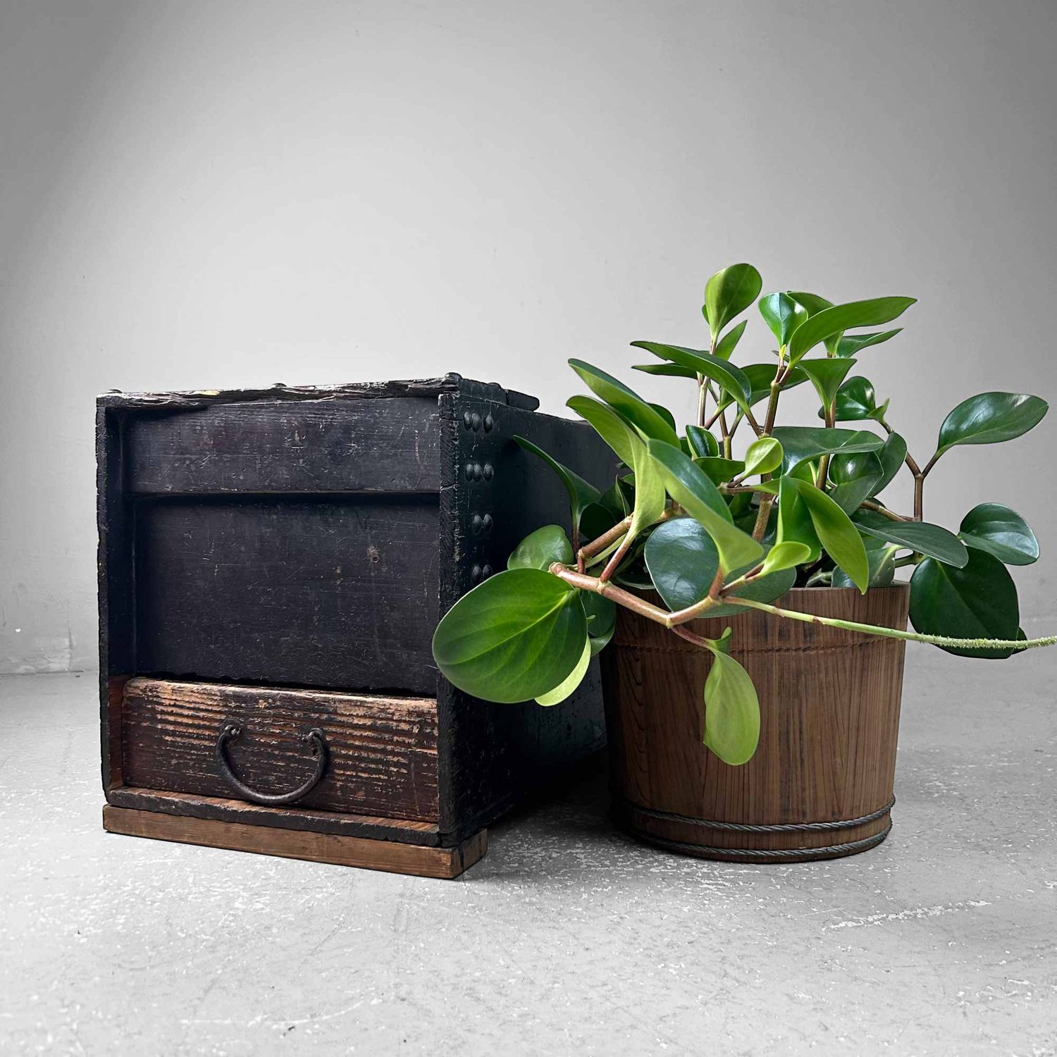 Antique Japanese Storage Chest with Drawer, Edo Period.