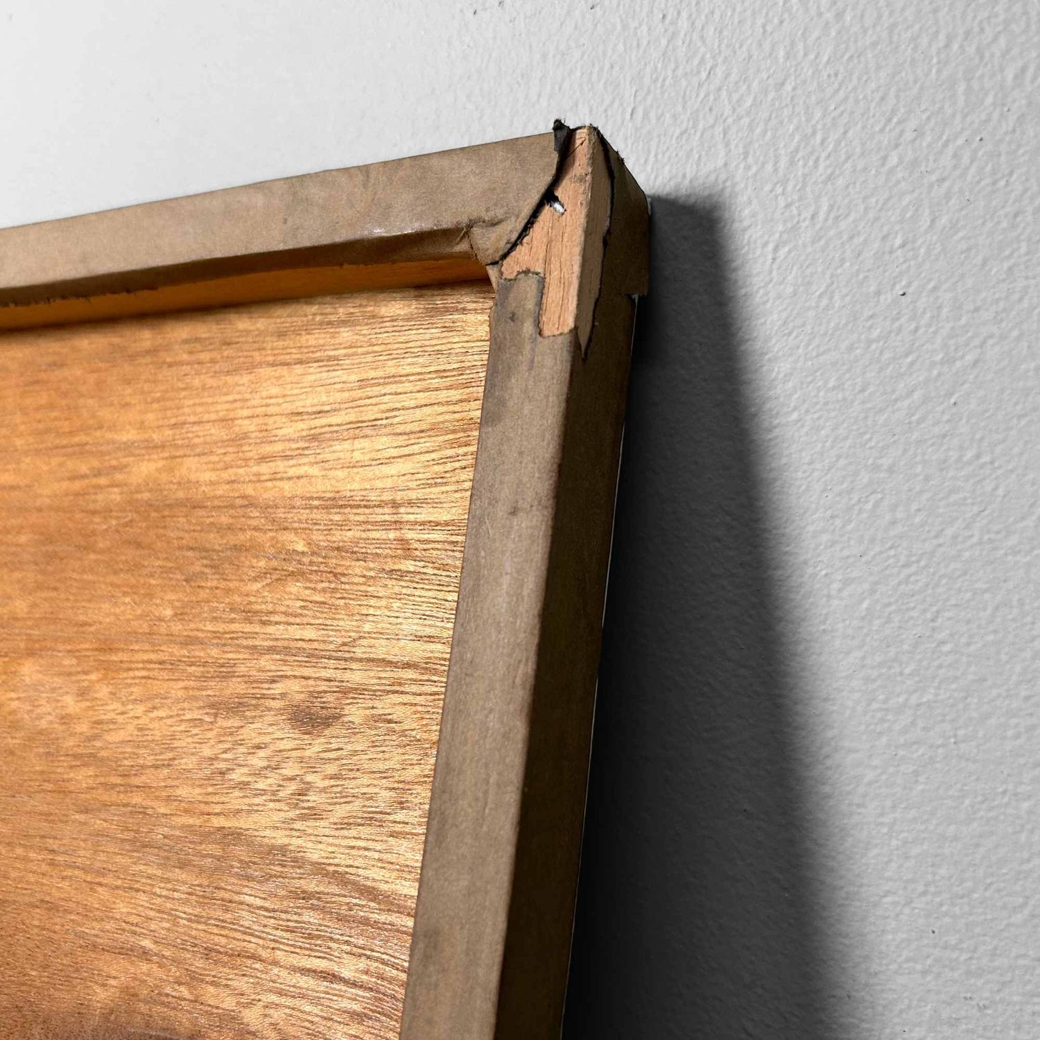 Unieke Zwart-Wit Foto, 'Japanse Wasbeerhond', Jaren '80.