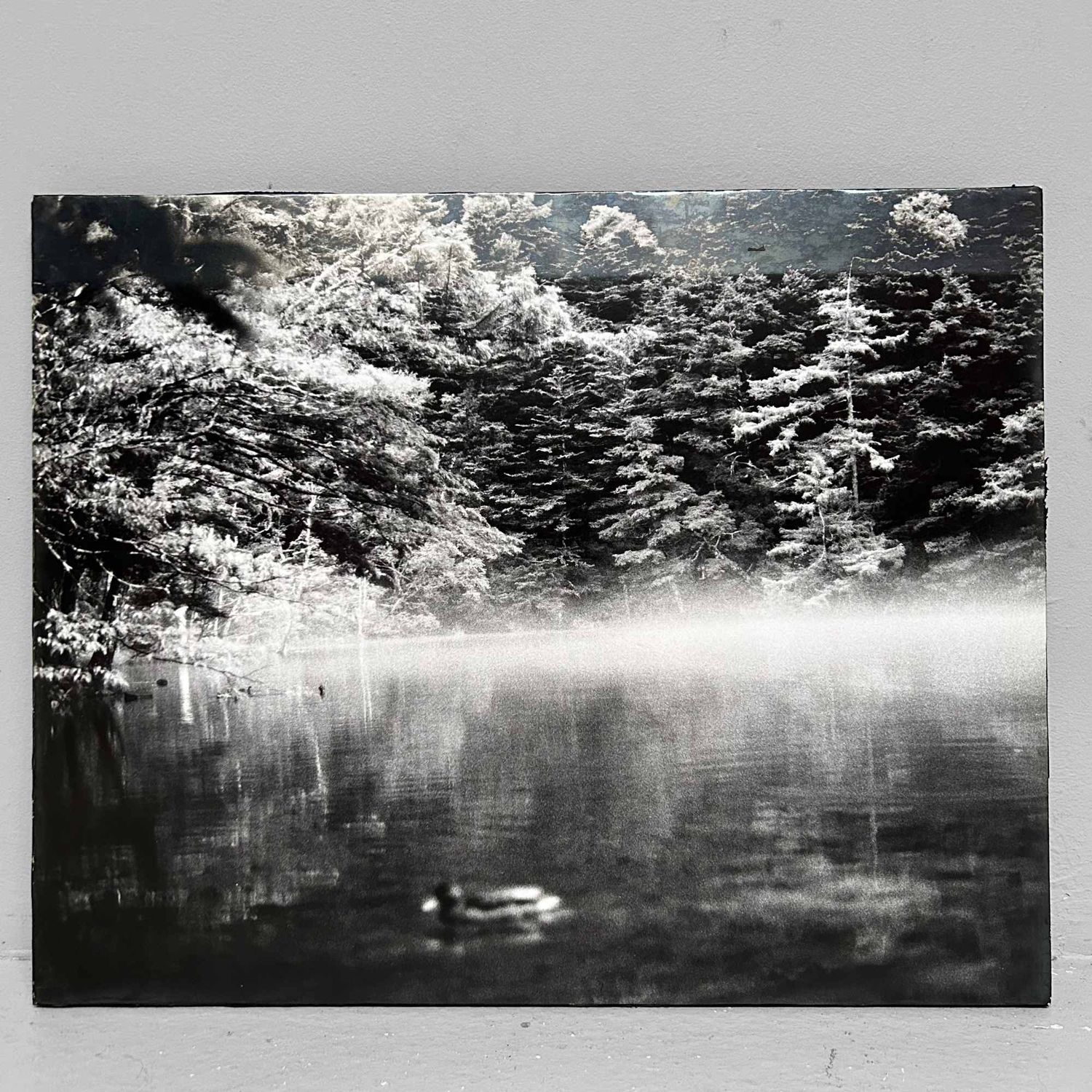 Zwart-Wit Foto, 'Japans Boslandschap', Muurdecoratie, jaren '80.