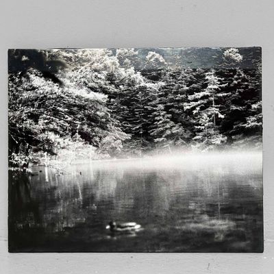 Zwart-Wit Foto, 'Japans Boslandschap', Muurdecoratie, jaren '80.