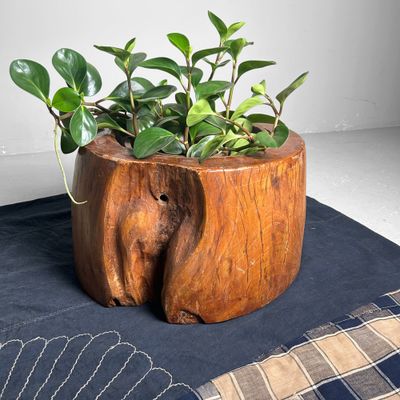 Unieke Houten 'Boomstam' Hibachi, Taishō-periode, Japan.