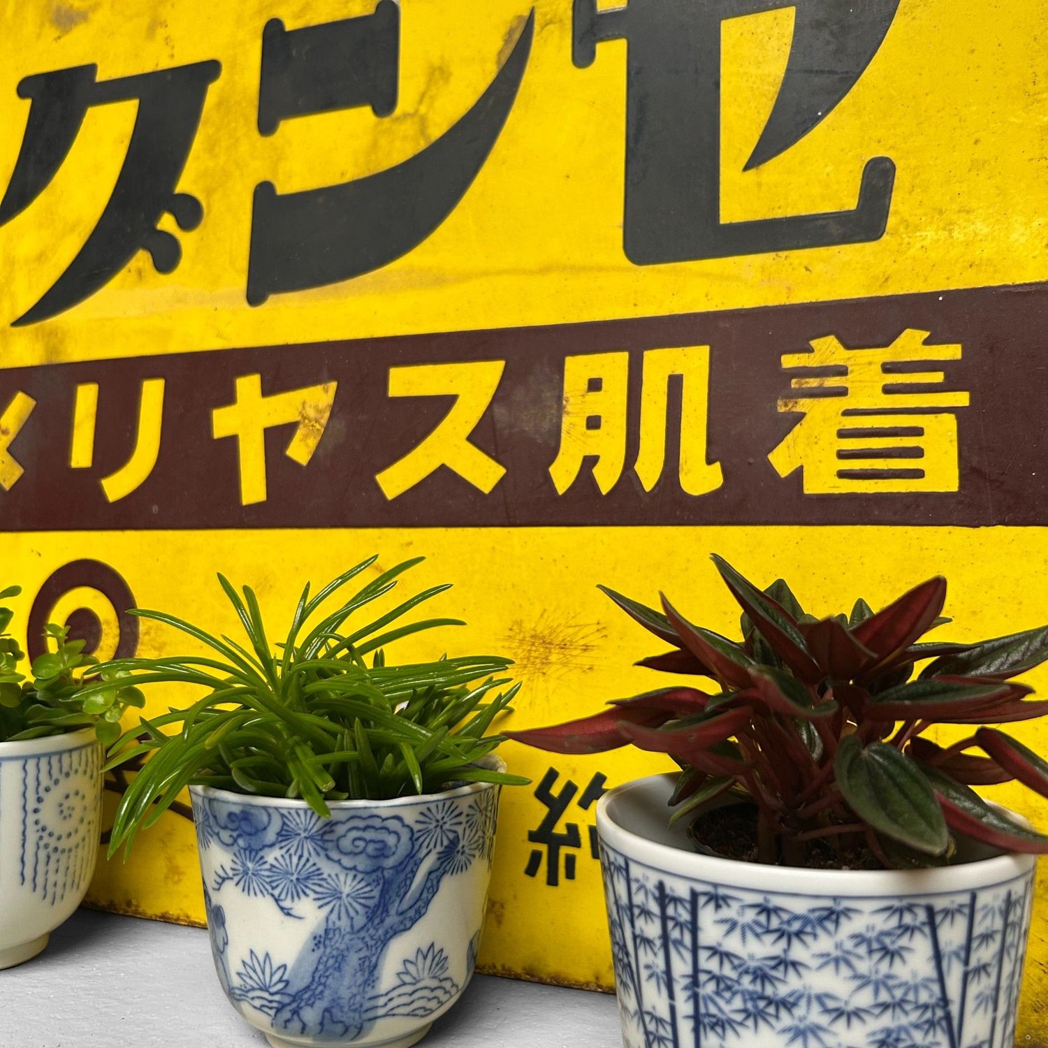​Vintage Japans Reclamebord, Luxe Ondergoed 'Gunze', Showa-periode.