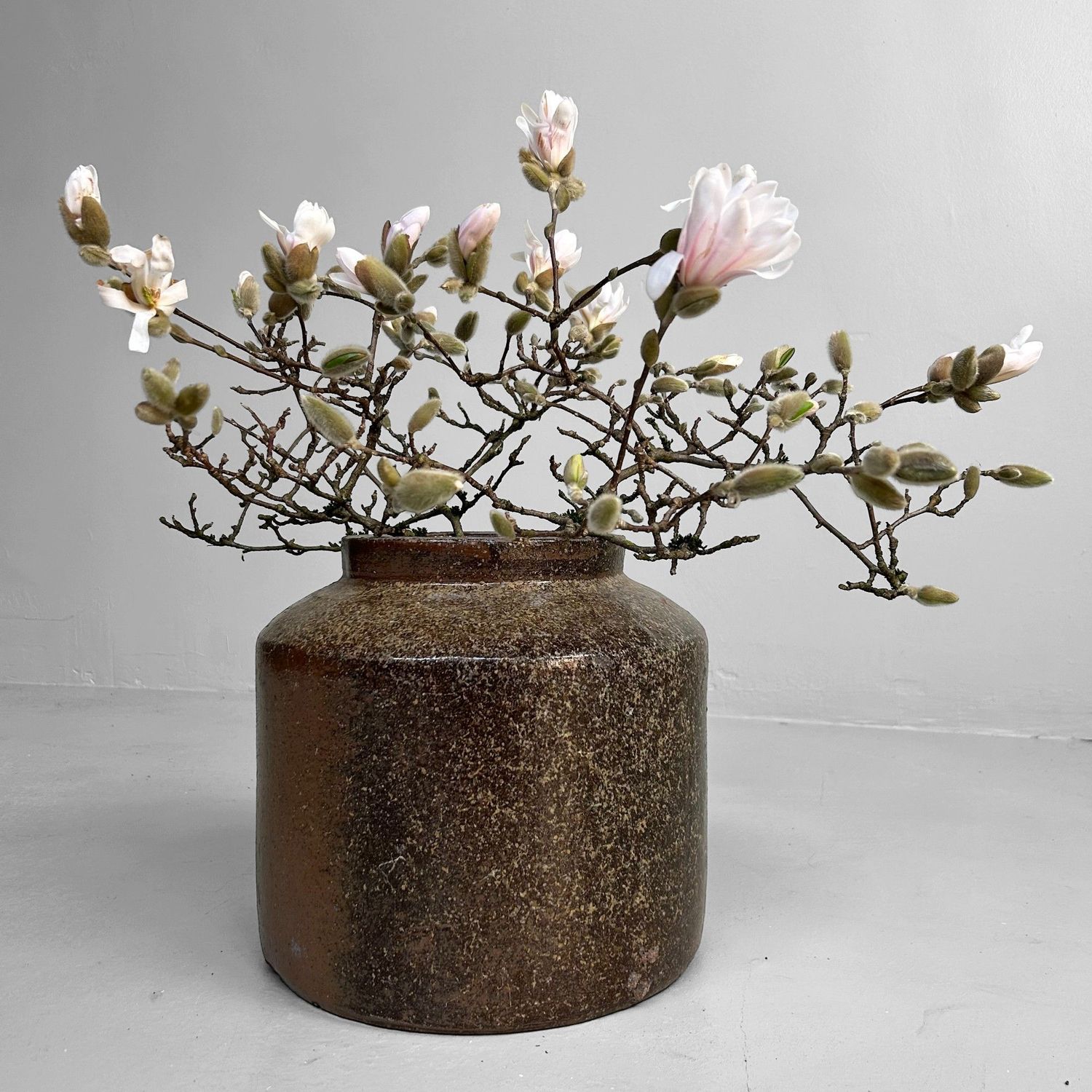 Antique Japanese Bizen Tsubo - Meiji Period Tea Storage Jar.