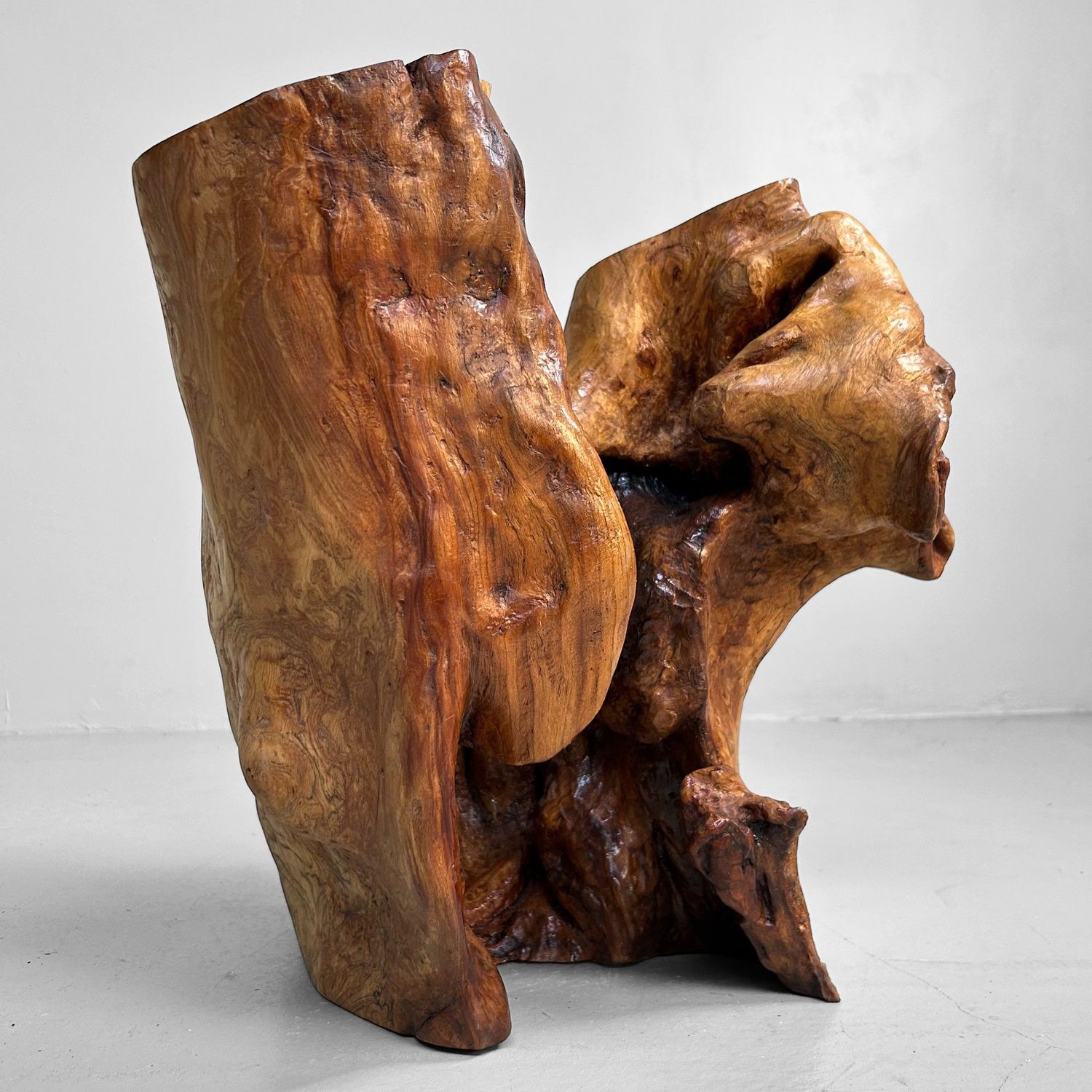 Japanese Tsuge Burl Wood Sculpture – Wabi-Sabi Ikebana Art Piece, 1920s.