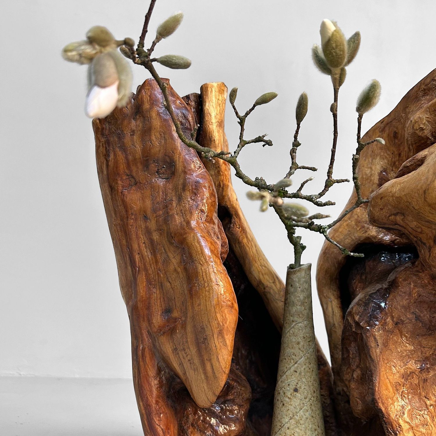 Japanese Tsuge Burl Wood Sculpture – Wabi-Sabi Ikebana Art Piece, 1920s.