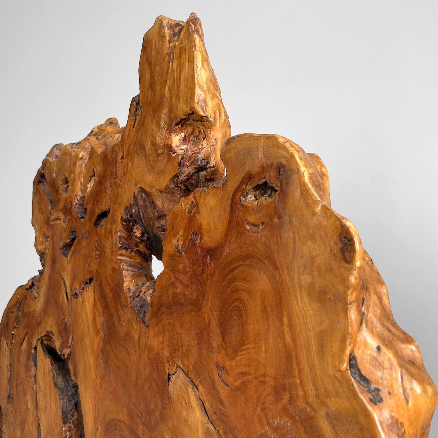 Japanse Boomstam Decoratie, Meiji-periode – Keyaki-hout.