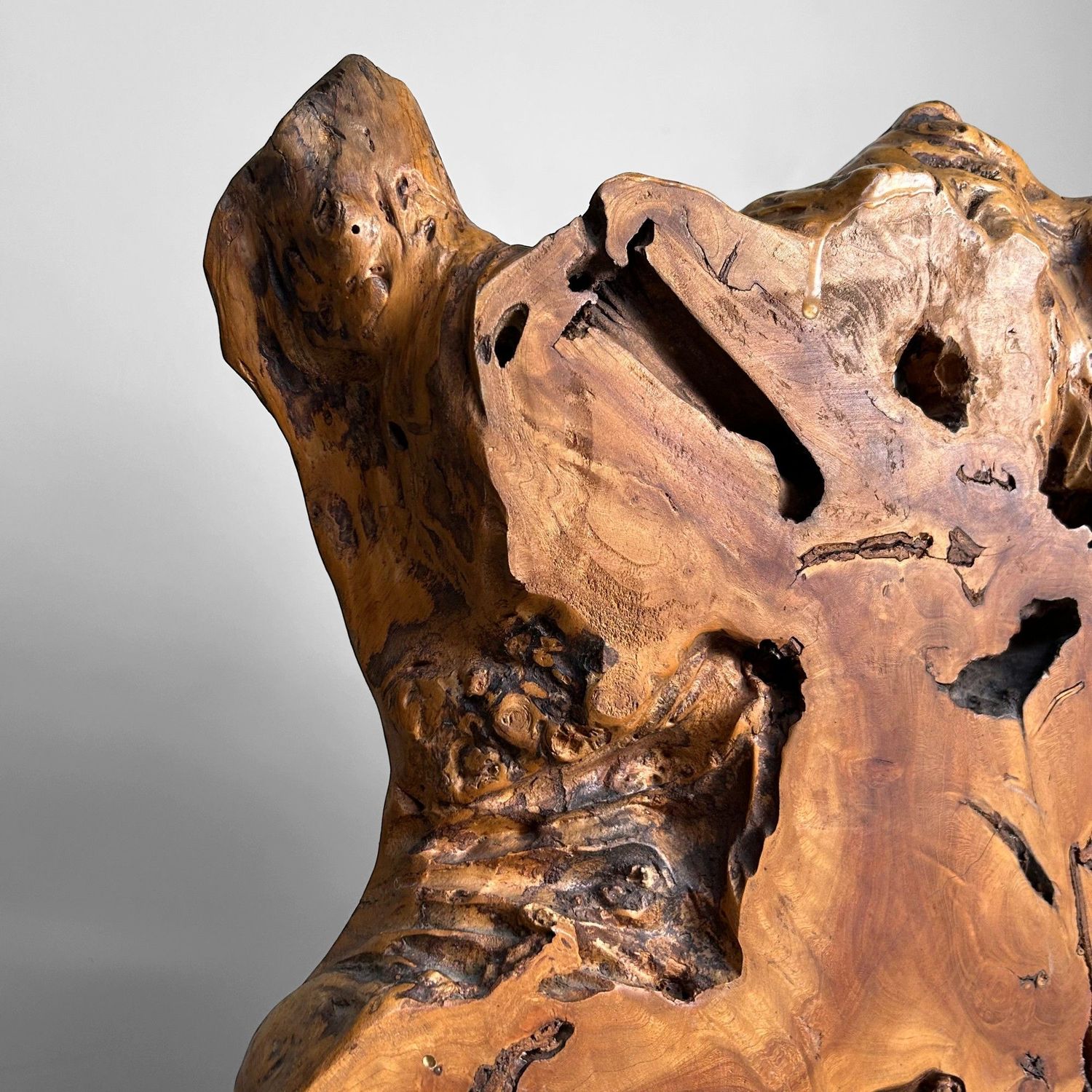 Japanse Boomstam Decoratie, Meiji-periode – Keyaki-hout.