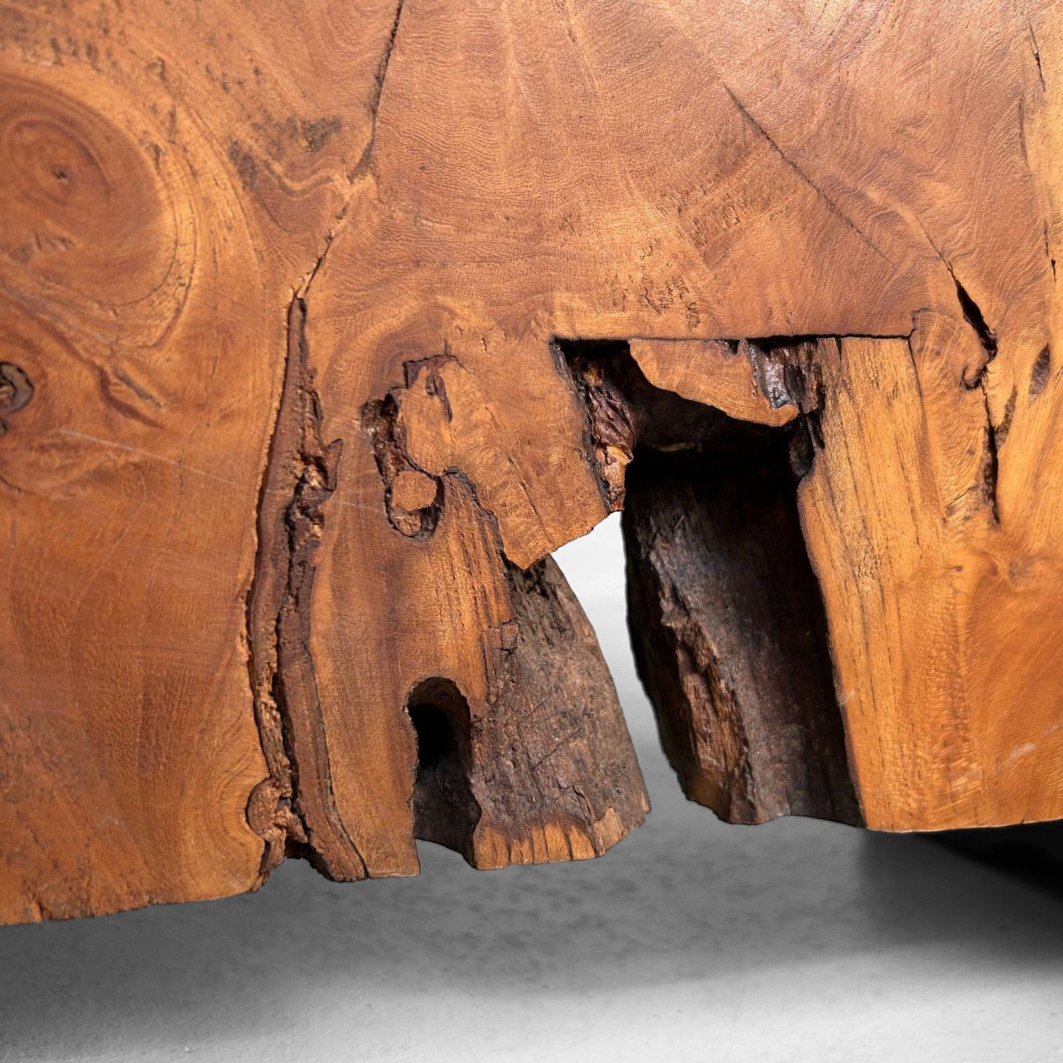 Japanse Boomstam Decoratie, Meiji-periode – Keyaki-hout.