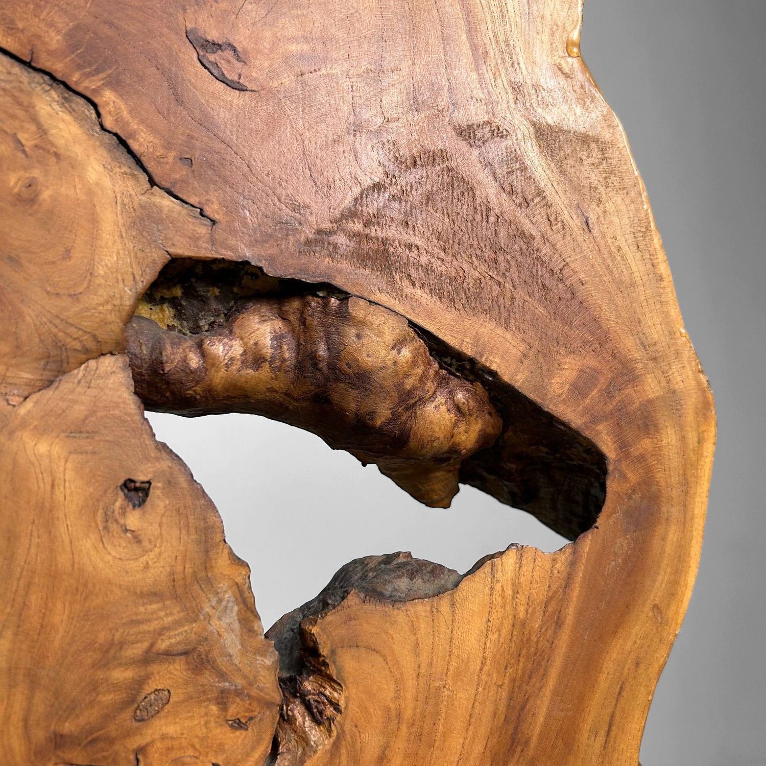 Japanse Boomstam Decoratie, Meiji-periode – Keyaki-hout.